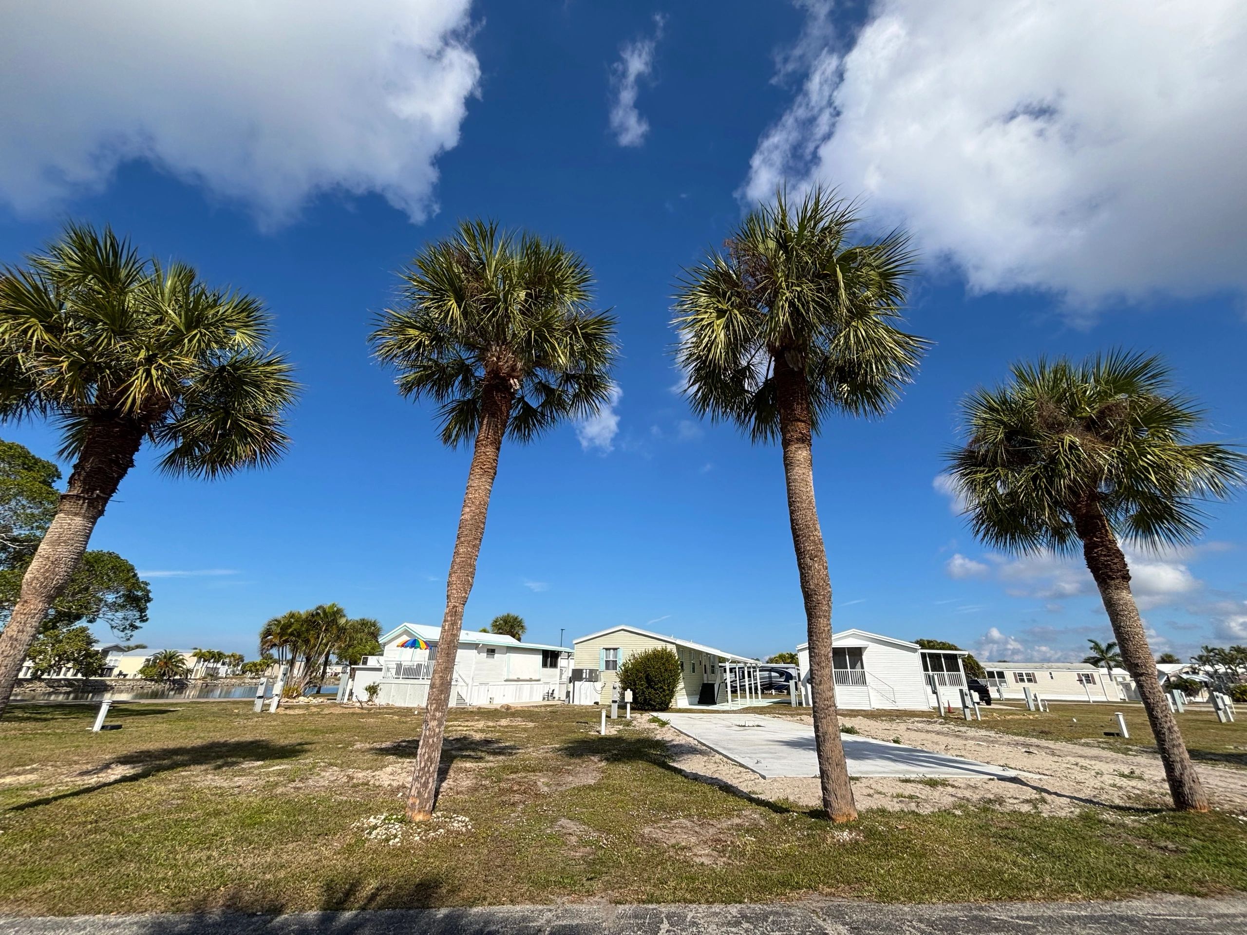 Palm-lined residential street in a Florida community