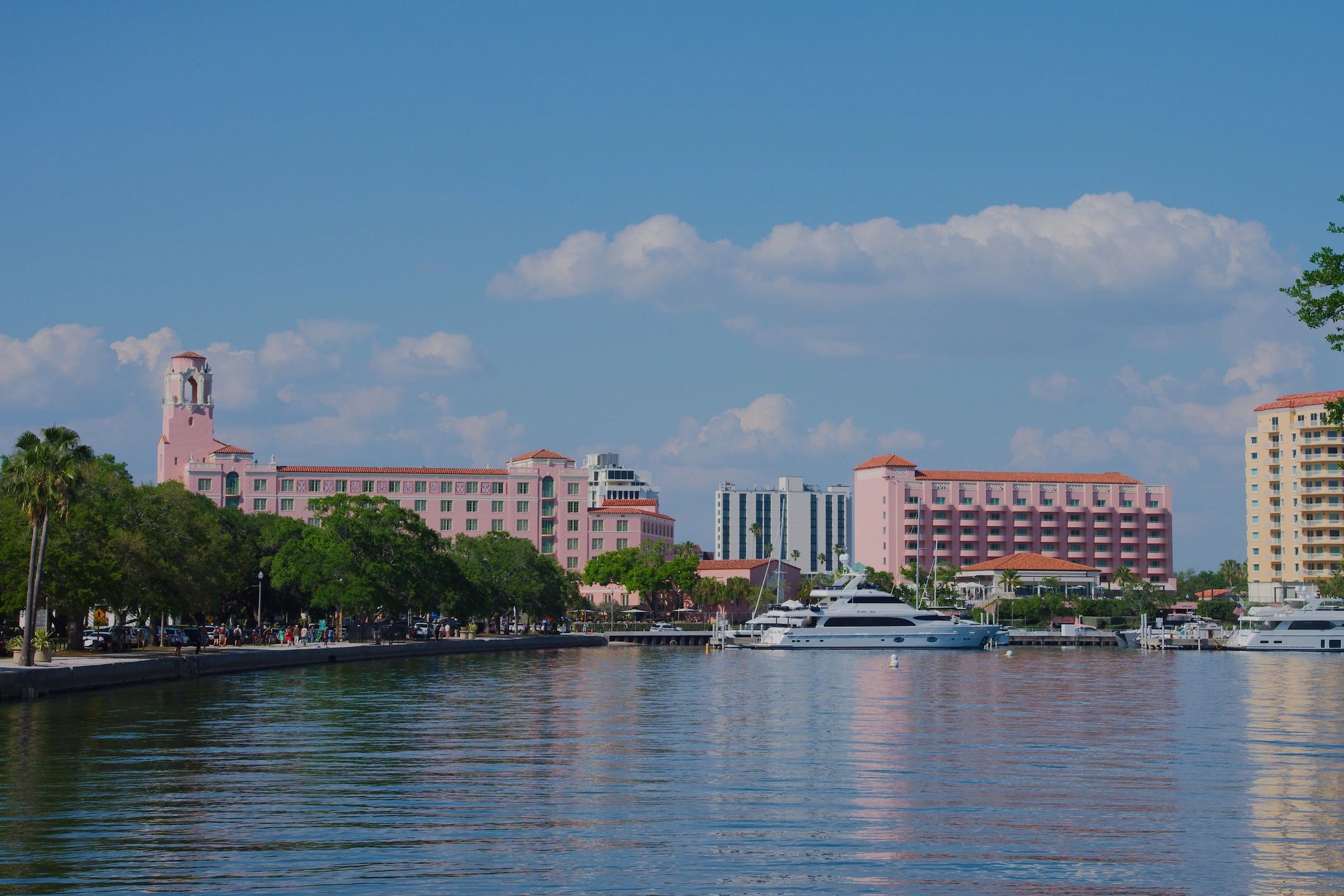Florida Gulf Coast marina with yachts, palm trees, and waterfront resort character