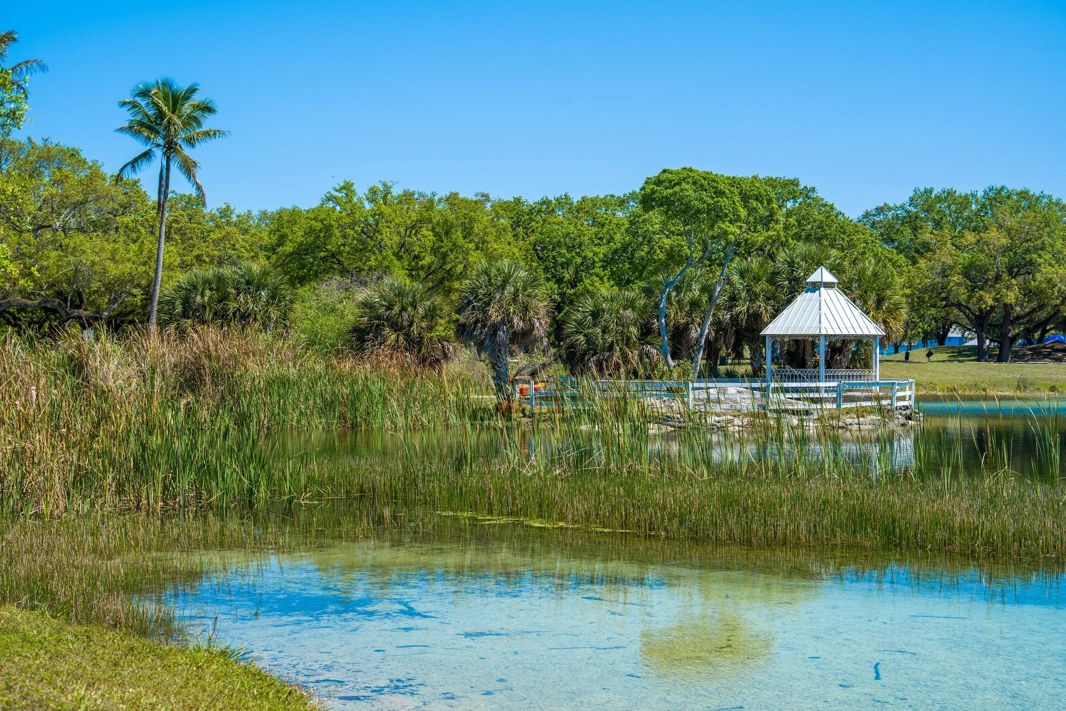 Florida community pavilion beside a lake with palm tree