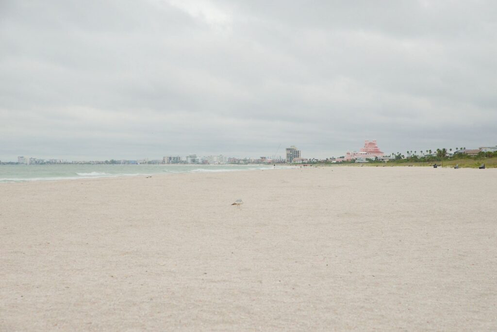 Empty Overcast St. Pete Beach, FL With Lone Seagull and Distant Coastal Buildings on a Cloudy Day