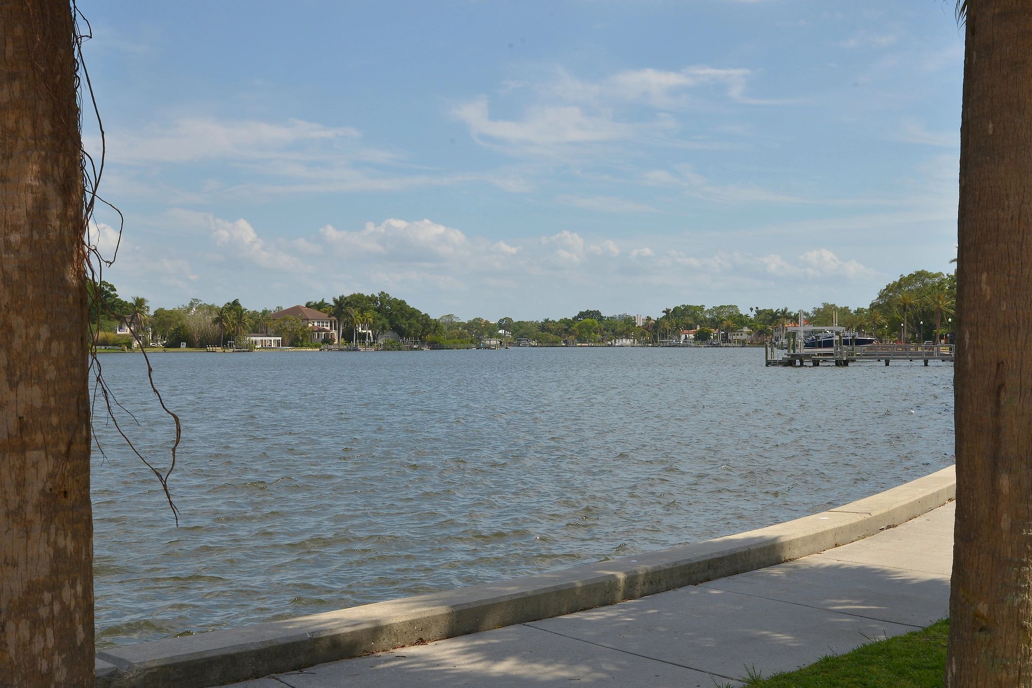Palm-lined waterfront walkway near Florida homes