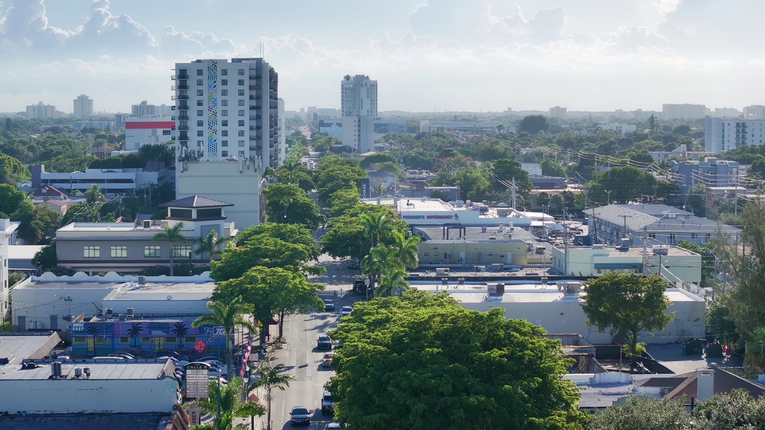 Florida commercial district with shops and everyday convenience