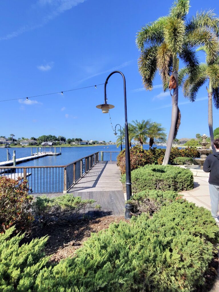 A waterfront walkway with lampposts and palm trees beside the bay