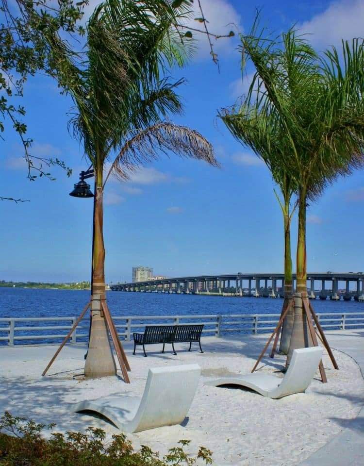 Best Things to Do Near Tampa Bay: A Local Guide for New Residents
