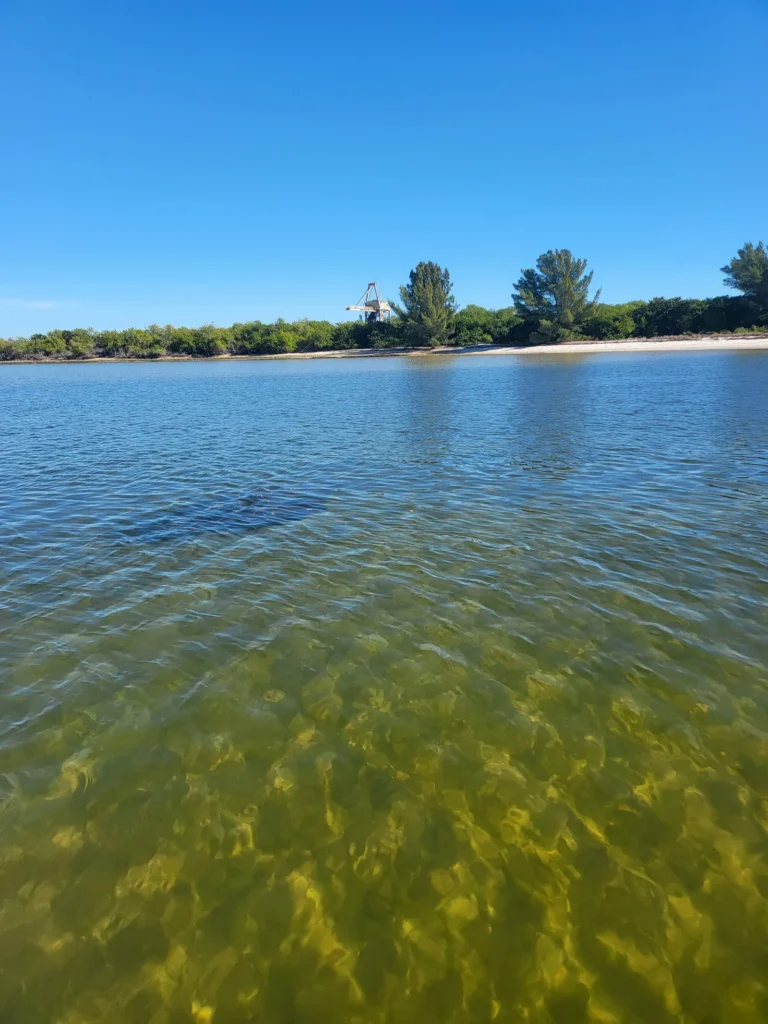 The lagoon and shoreline at the Manatee Viewing Center in Apollo Beach