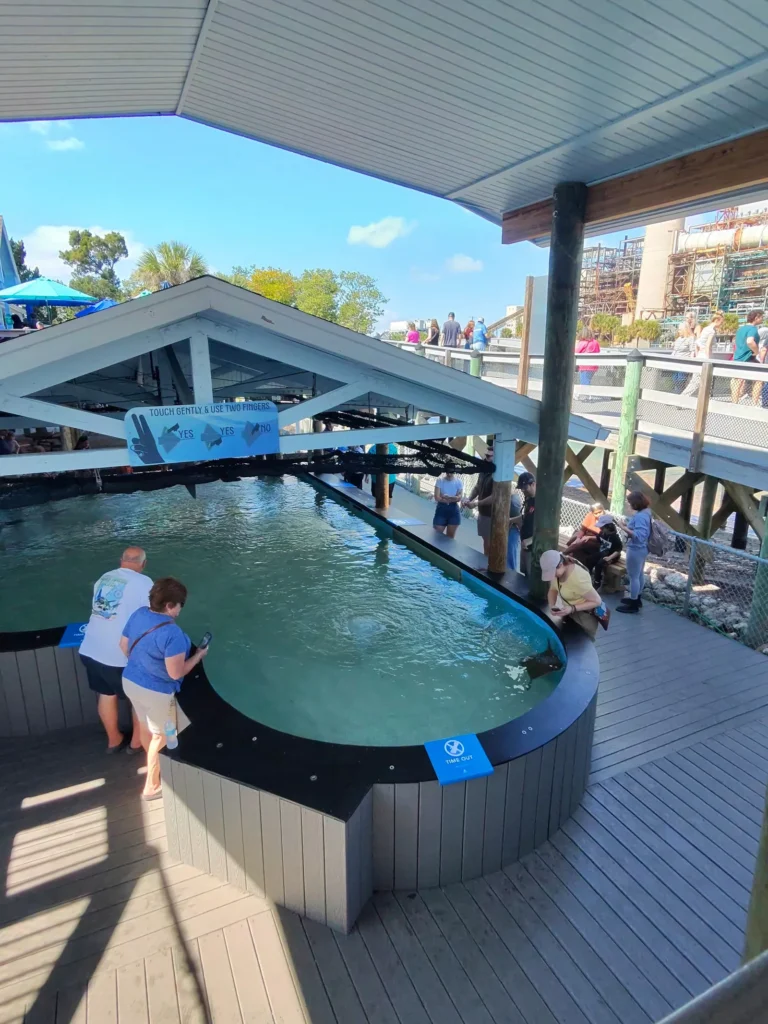 Visitors at the stingray touch tank at the Manatee Viewing Center