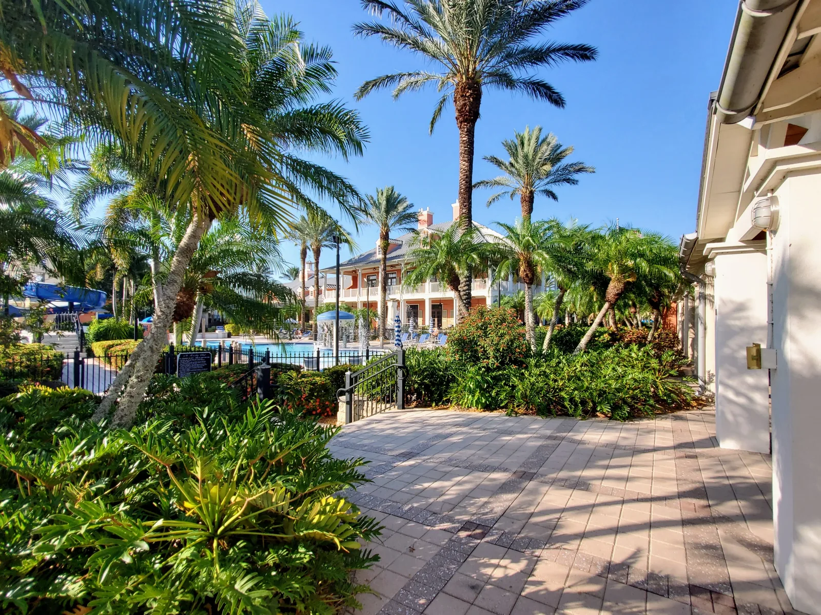 Palm-lined walkway to the MiraBay clubhouse and resort pool in Apollo Beach