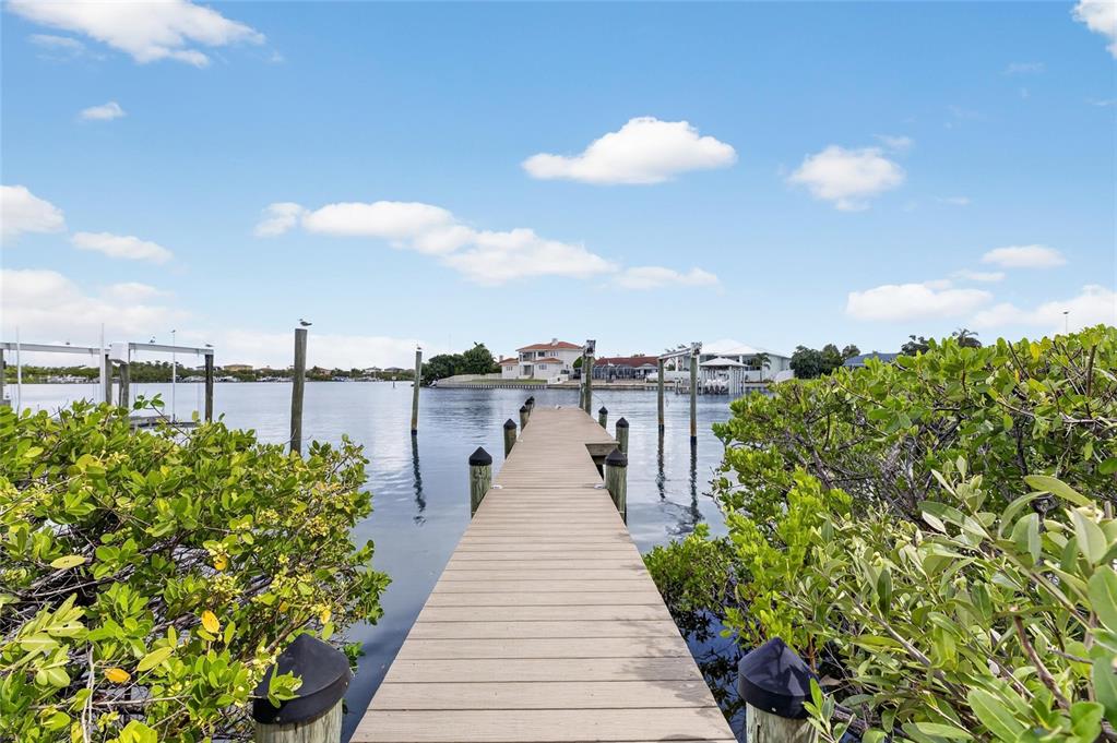 Private dock with electric boat lift at 1231 Acappella Lane