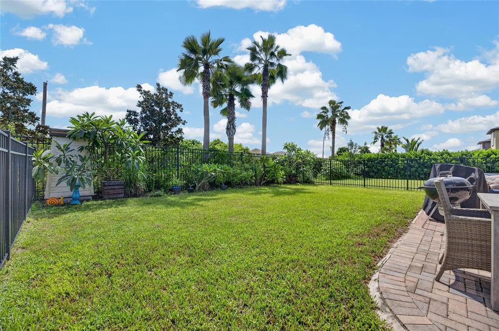 Fenced backyard