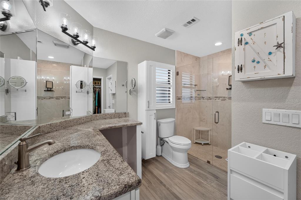 Primary bath with stone vanity and skylight