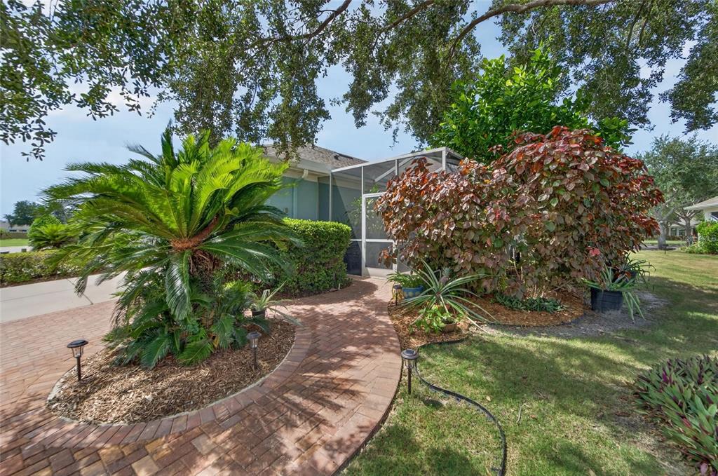 Large park-side yard with paver path
