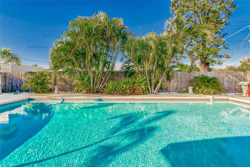 Backyard pool
