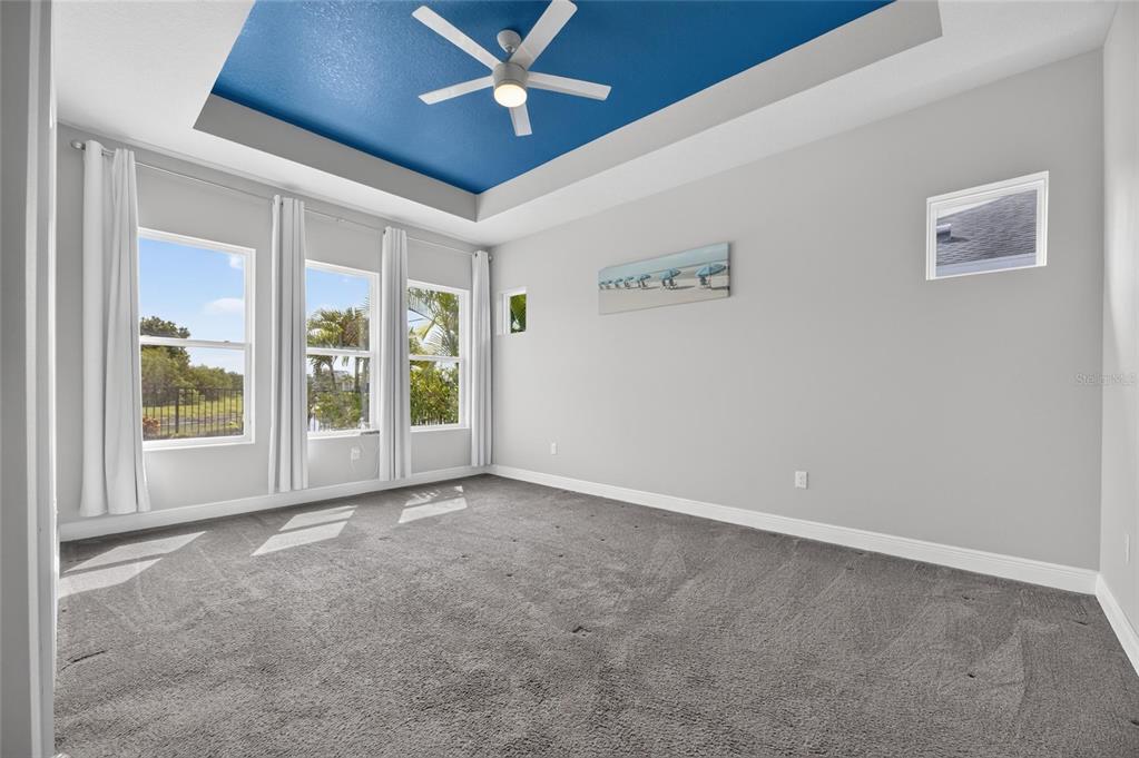 Primary bedroom with tray ceiling
