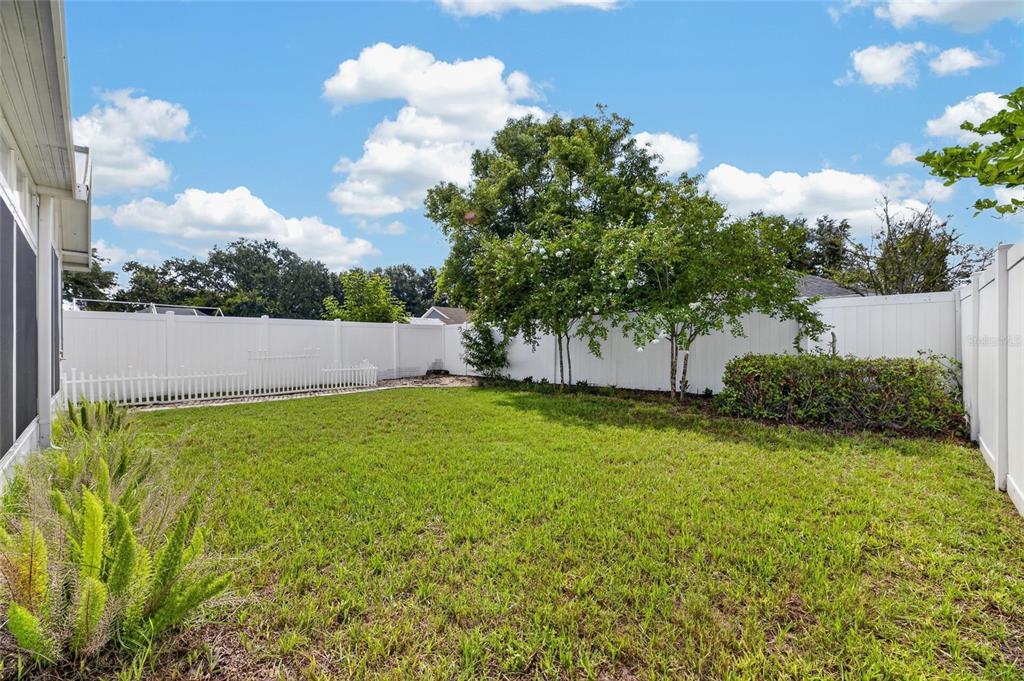 Vinyl-fenced backyard