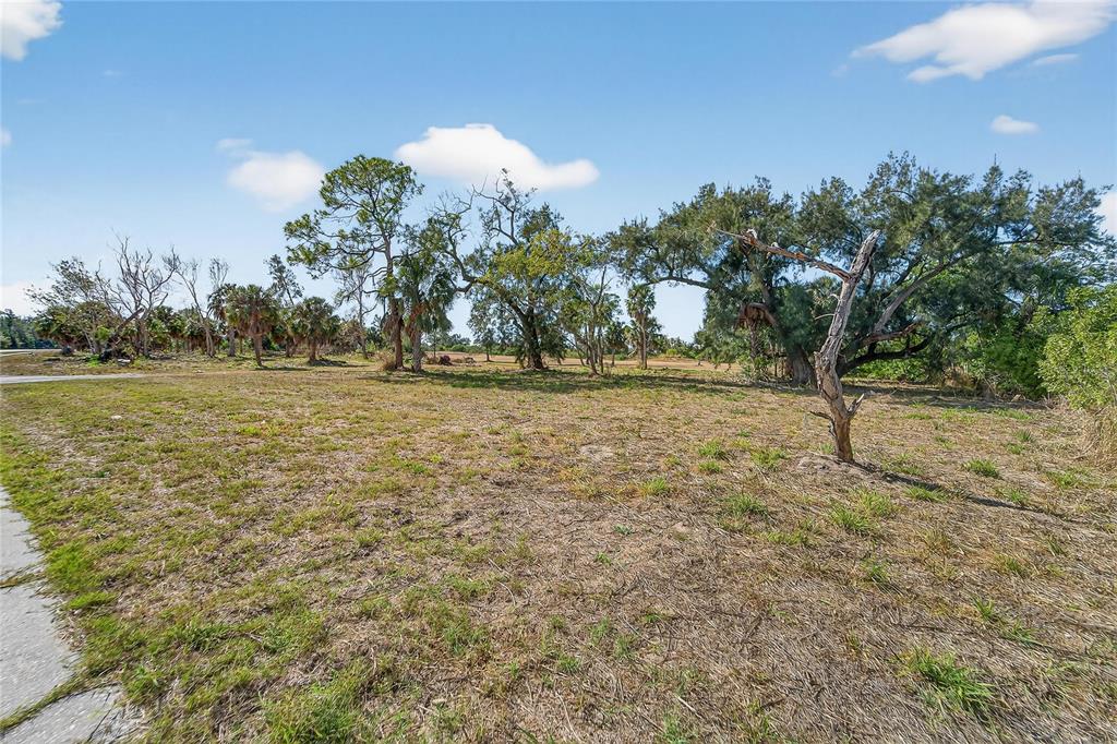 Wooded portion of the property